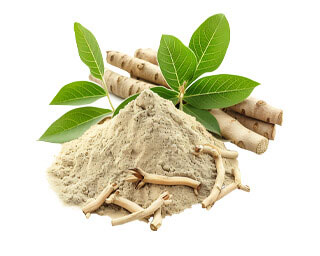 Alpha Surge is made of L-Arginine HCl & Tongkat Ali Root